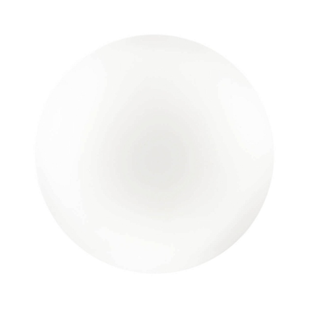 Настенно-потолочный светильник Sonex Pale Simple 3017/DL фото 