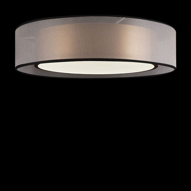 Потолочный светодиодный светильник Freya Zoticus FR6005CL-L36G фото 4