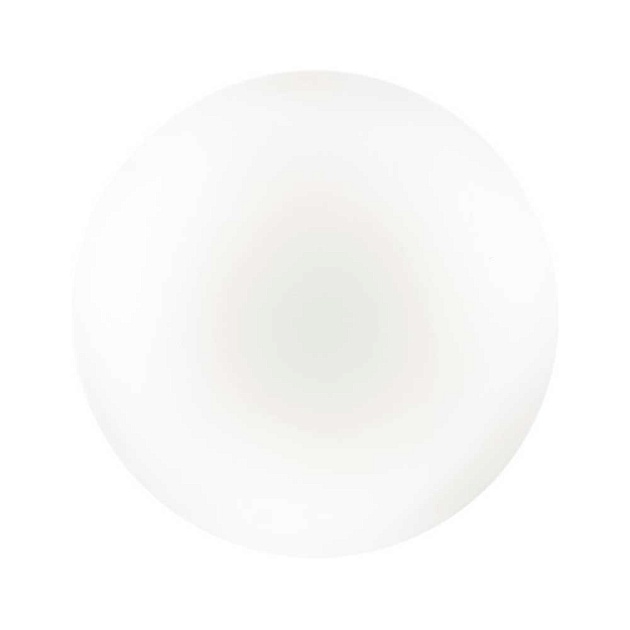 Настенно-потолочный светильник Sonex Pale Simple 3017/DL фото 3
