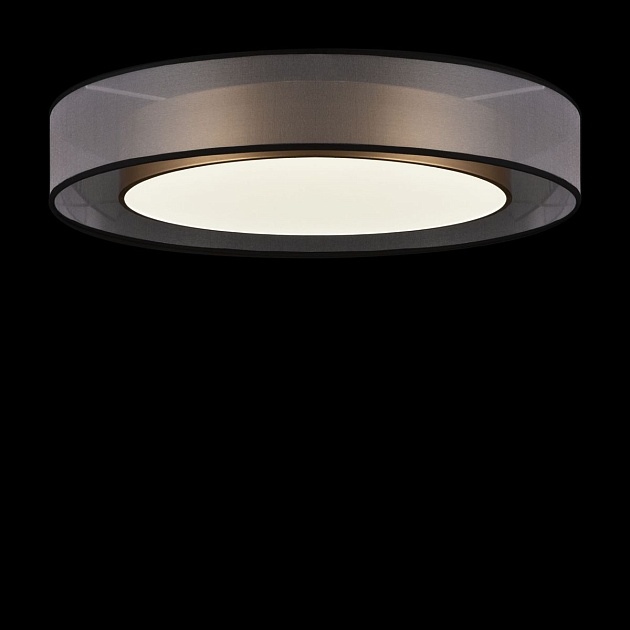 Потолочный светодиодный светильник Freya Zoticus FR6005CL-L48G фото 4