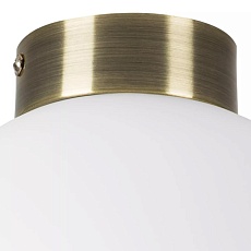 Настенно-потолочный светильник Lightstar Globo 812021 1
