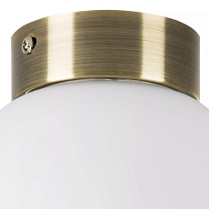 Настенно-потолочный светильник Lightstar Globo 812011 1