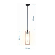 Подвесной светильник Apeyron Клэр 14-41 1