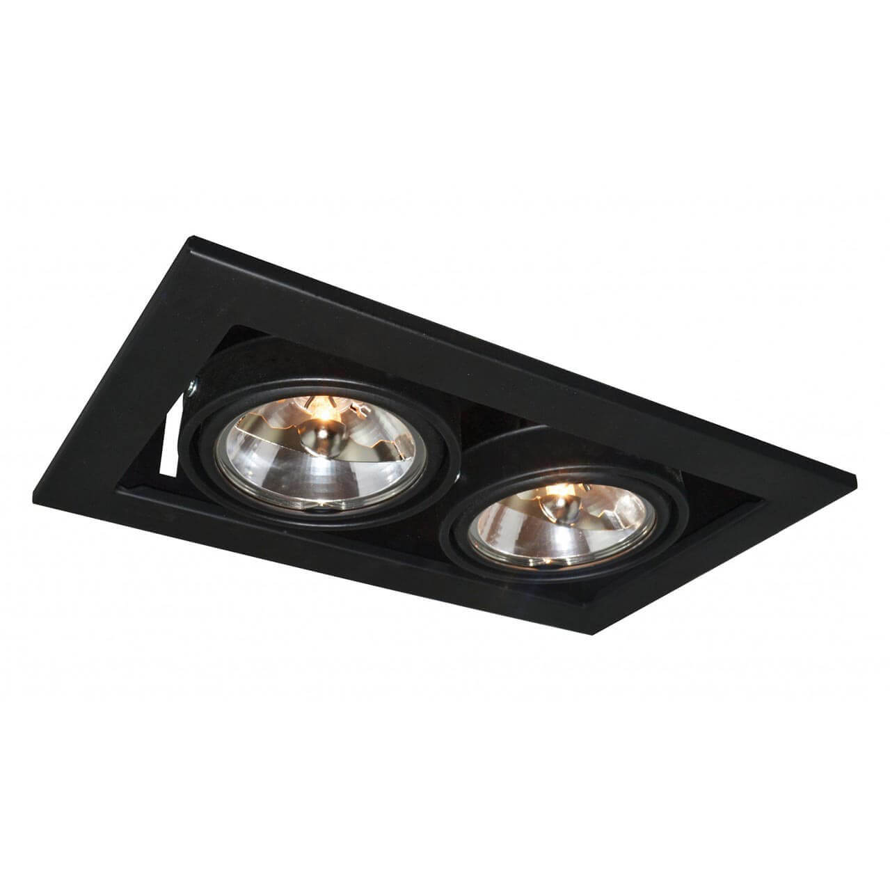 Встраиваемый светильник Arte Lamp Technika A5930PL-2BK, Черный, A5930PL-2BK Technika
Встраиваемый светильник Arte Lamp Technika A5930PL-2BK, Черный, A5930PL-2BK Technika