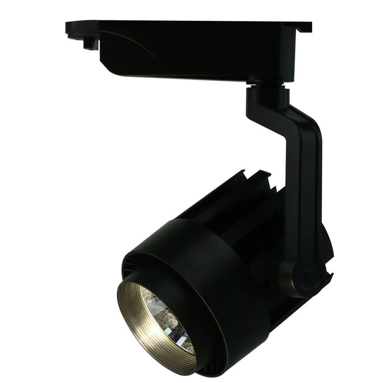 Трековый светодиодный светильник Arte Lamp Vigile A1630PL-1BK, Черный, A1630PL-1BK Vigile Black
Трековый светодиодный светильник Arte Lamp Vigile A1630PL-1BK, Черный, A1630PL-1BK Vigile Black
