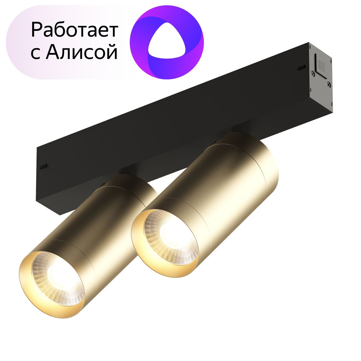 Трековый светодиодный светильник Denkirs Smart Spot DK8012-BG, Матовое золото, DK8012-BG Smart Spot
Трековый светодиодный светильник Denkirs Smart Spot DK8012-BG, Матовое золото, DK8012-BG Smart Spot