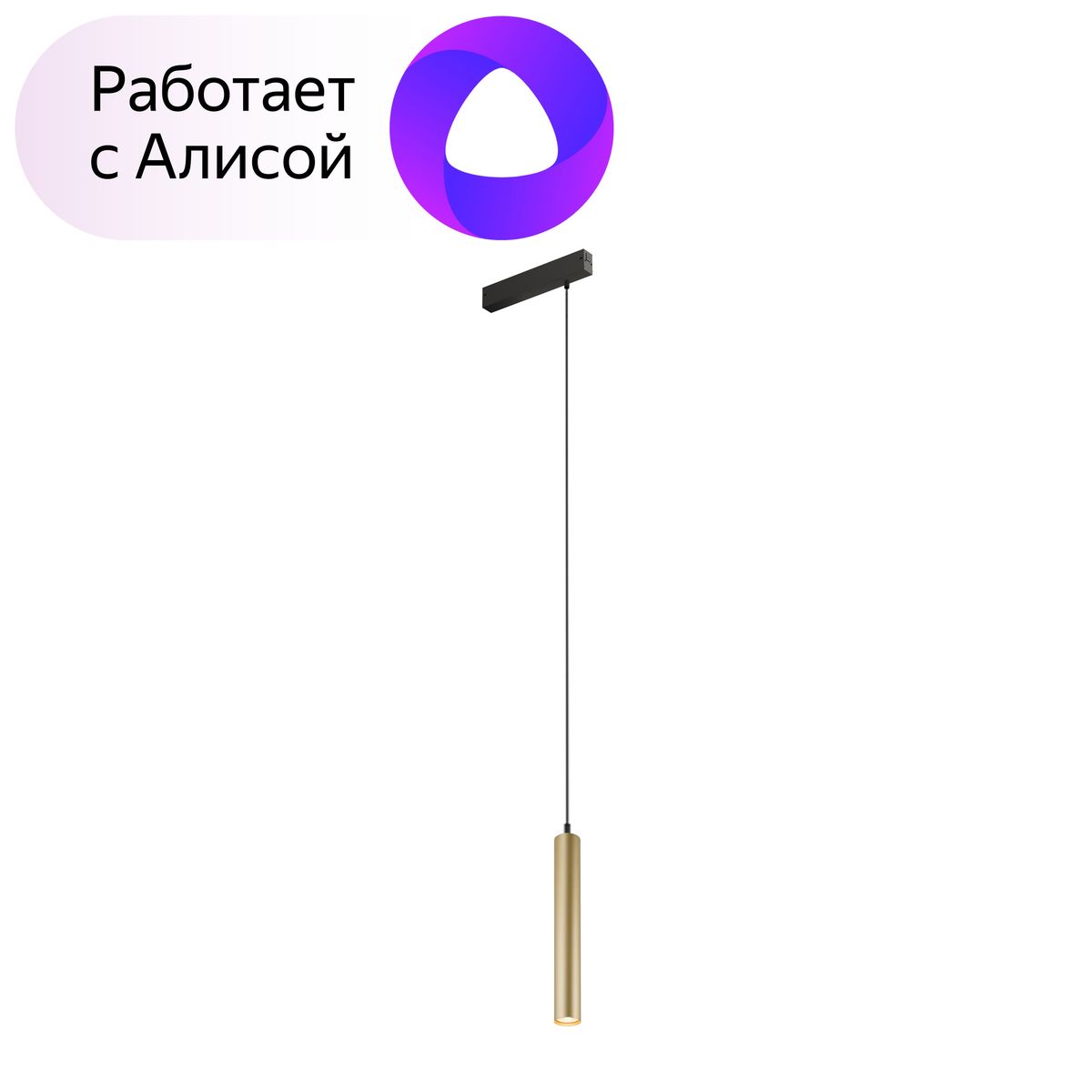 Трековый светодиодный светильник Denkirs Smart Spot DK8008-BG, Матовое золото, DK8008-BG Smart Spot
Трековый светодиодный светильник Denkirs Smart Spot DK8008-BG, Матовое золото, DK8008-BG Smart Spot