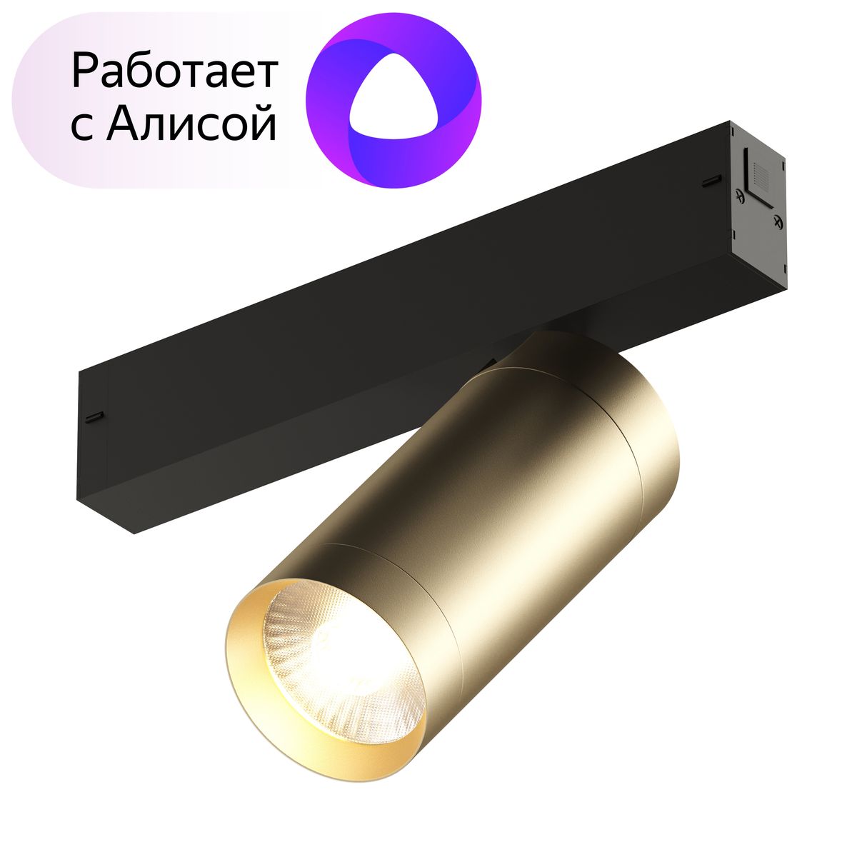 Трековый светодиодный светильник Denkirs Smart Spot DK8020-BG, Матовое золото, DK8020-BG Smart Spot
Трековый светодиодный светильник Denkirs Smart Spot DK8020-BG, Матовое золото, DK8020-BG Smart Spot