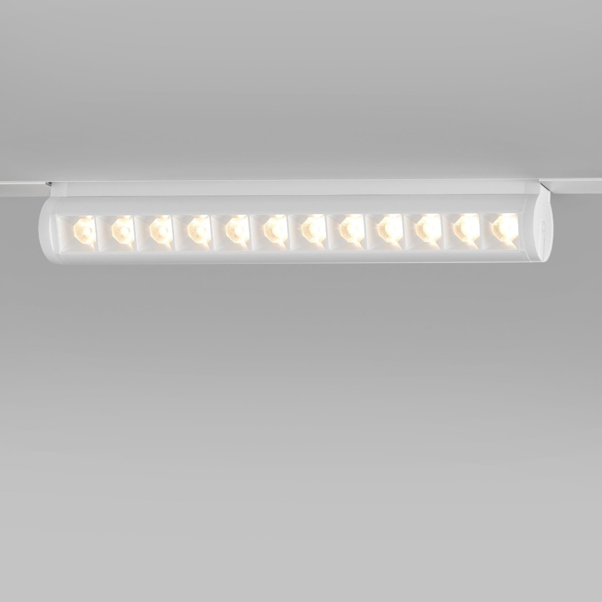 Трековый светодиодный светильник Elektrostandard Alter 12W 4200K 85049/01 a062997, Белый, 4690389194092 Alter
Трековый светодиодный светильник Elektrostandard Alter 12W 4200K 85049/01 a062997, Белый, 4690389194092 Alter