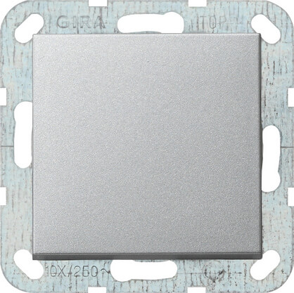 Выключатель кнопочный одноклавишный Gira System 55 10A 250V алюминий 012626, Серый, 012626 System 55
Выключатель кнопочный одноклавишный Gira System 55 10A 250V алюминий 012626, Серый, 012626 System 55