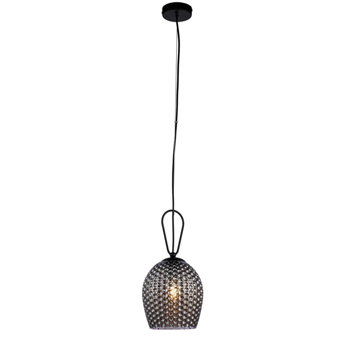 Подвесной светильник Indigo Armonia 11001/1P Black V000085, Дымчатый, V000085 Armonia
Подвесной светильник Indigo Armonia 11001/1P Black V000085, Дымчатый, V000085 Armonia