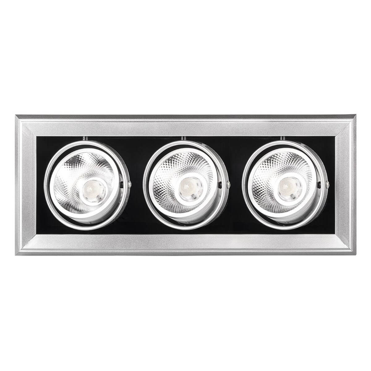 Встраиваемый светодиодный светильник Jazzway PSP-S Cardan 5027183, Алюминий, 5027183 PSP-S Cardan
Встраиваемый светодиодный светильник Jazzway PSP-S Cardan 5027183, Алюминий, 5027183 PSP-S Cardan