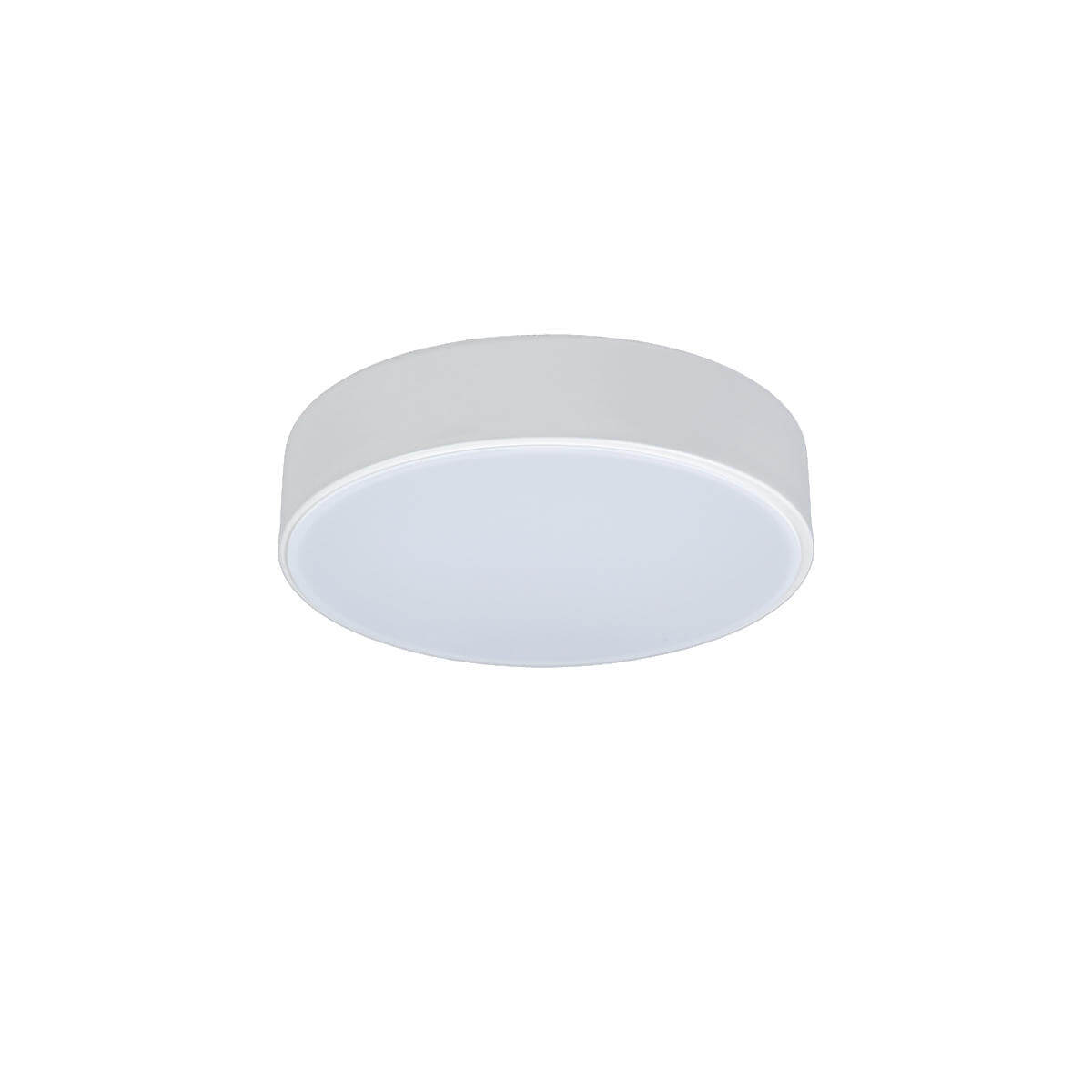 Потолочный светодиодный светильник Loft IT Axel 10002/12 white, Белый, 10002/12 White Axel
Потолочный светодиодный светильник Loft IT Axel 10002/12 white, Белый, 10002/12 White Axel