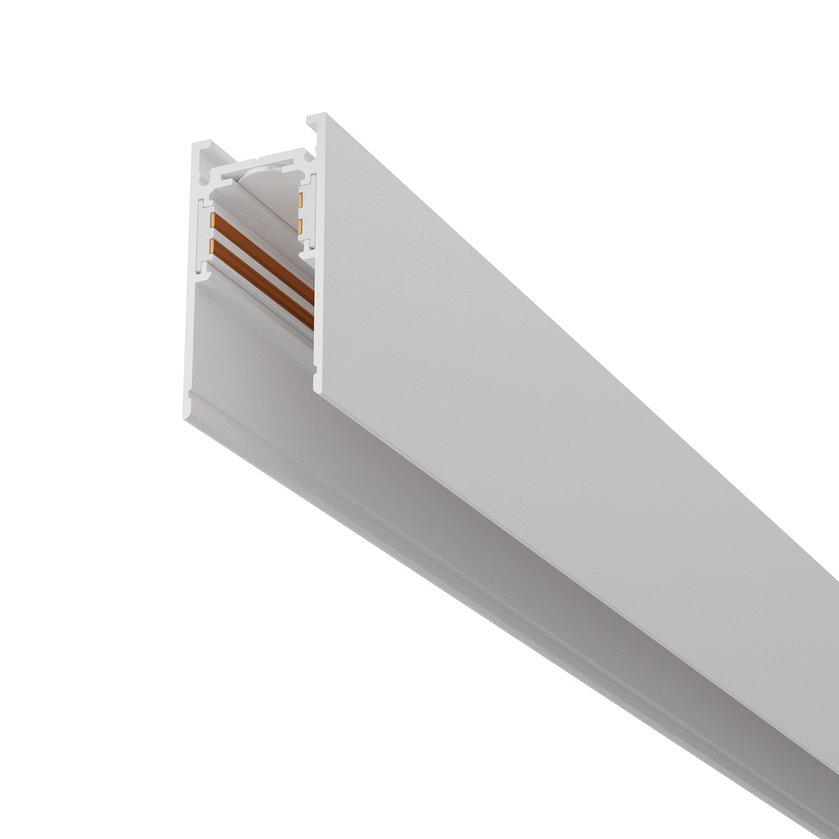 Шинопровод накладной/подвесной магнитный Maytoni Technical Exility Busbar trunkings TRX034-412W, Белый, TRX034-412W Magnetic TS Exility
Шинопровод накладной/подвесной магнитный Maytoni Technical Exility Busbar trunkings TRX034-412W, Белый, TRX034-412W Magnetic TS Exility