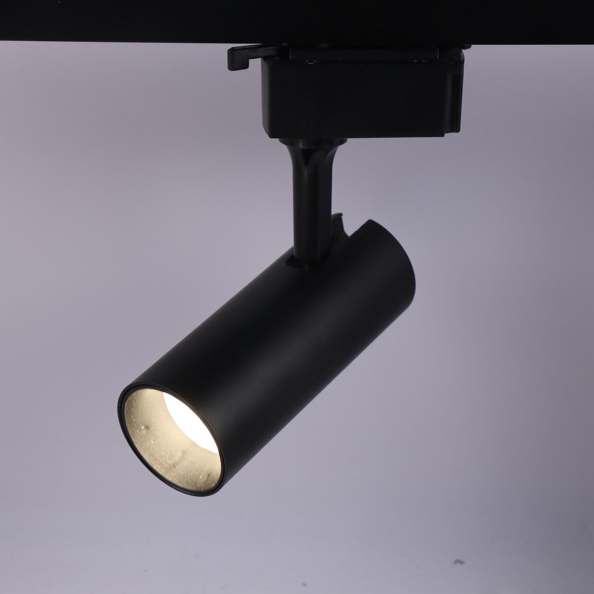 Трековый светодиодный светильник ЭРА TR5-10 COB BK Б0049051, Черный, TR5-10 COB BK TR5 ()
Трековый светодиодный светильник ЭРА TR5-10 COB BK Б0049051, Черный, TR5-10 COB BK TR5 ()