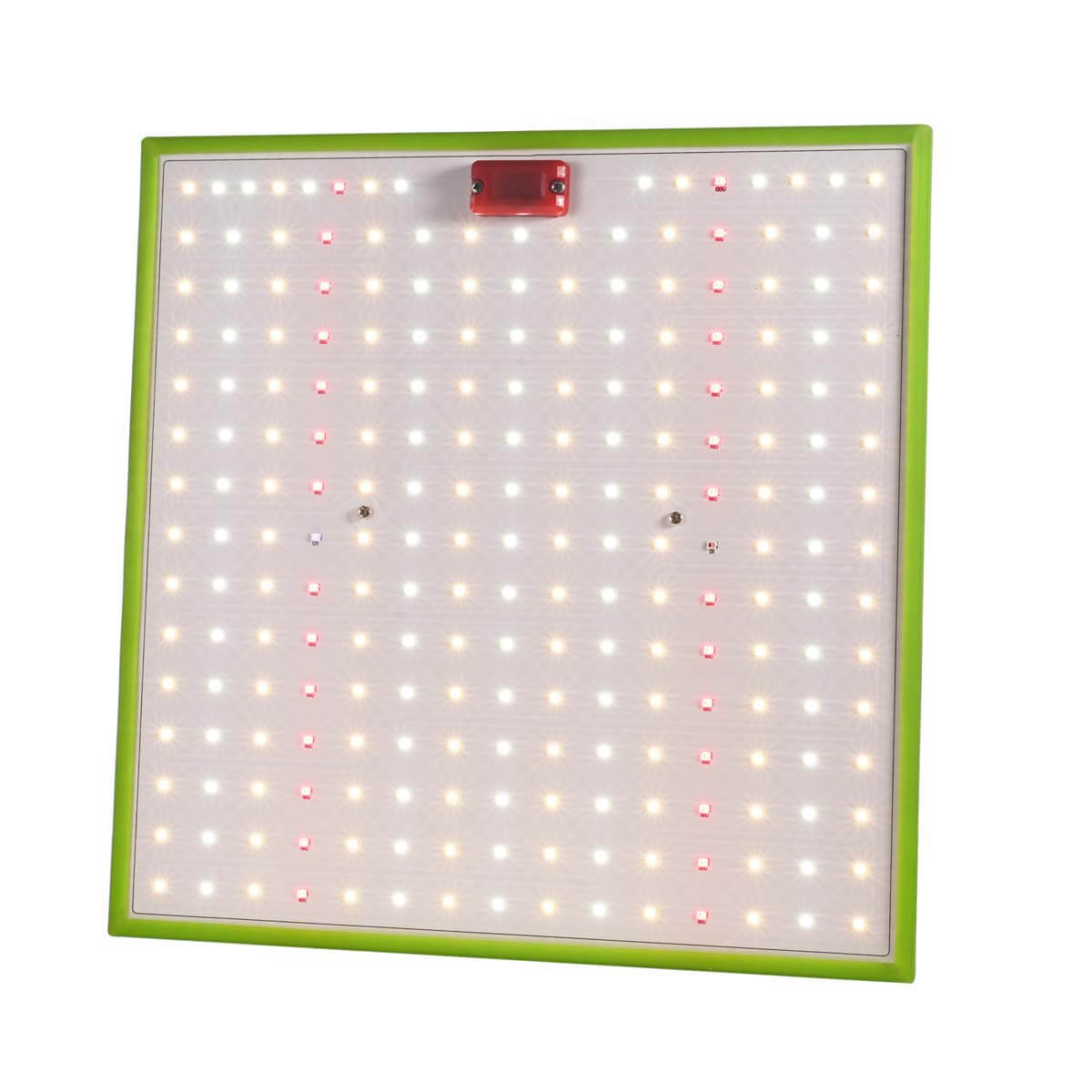 Прожектор светодиодный для растений ЭРА 50W 1310K Fito-80W-Led-QB Б0053285, Белый, Fito-80W-Led-QB Profi green light
Прожектор светодиодный для растений ЭРА 50W 1310K Fito-80W-Led-QB Б0053285, Белый, Fito-80W-Led-QB Profi green light
