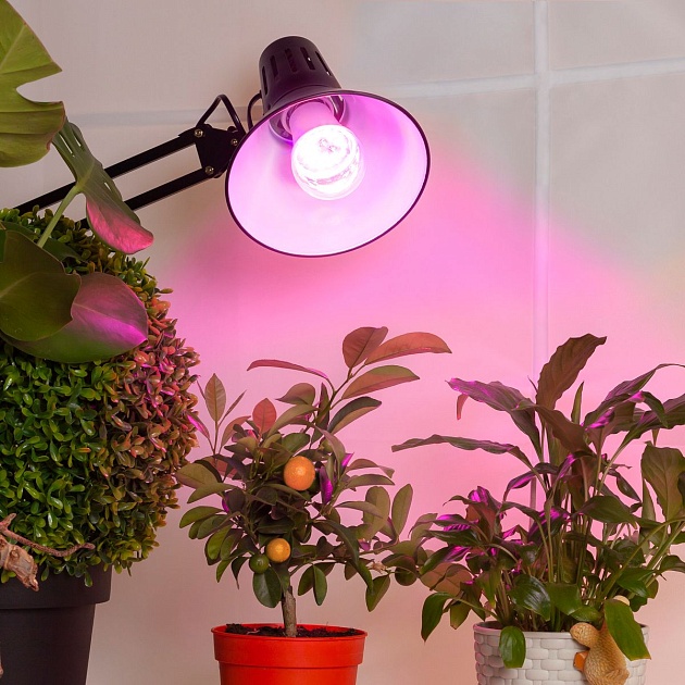 Лампа светодиодная для растений ЭРА E27 12W 1310K прозрачная Fito-12W-RB-E27 Б0050601 фото 6