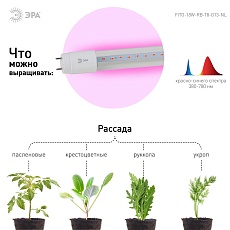 Лампа светодиодная для растений ЭРА G13 18W 1200K прозрачная Fito-18W-RB-Т8-G13-NL Б0042990 1