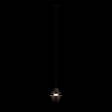 Подвесной светильник Loft IT Viterbo 10336 Black 4