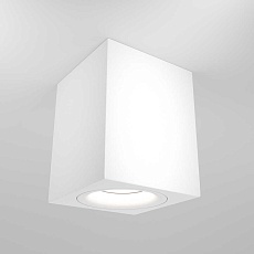 Потолочный светильник Maytoni Alfa C013CL-01W 4
