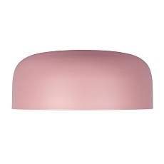 Потолочный светодиодный светильник Loft IT Axel 10201/480 Pink 1