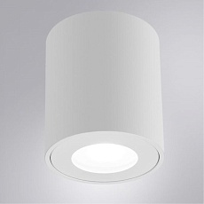 Потолочный светильник Arte Lamp Tino A1469PL-1WH 1