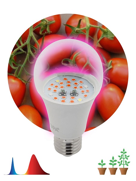 Лампа светодиодная для растений ЭРА E27 10W 1310K прозрачная Fito-10W-RB-E27 Б0050600 фото 3