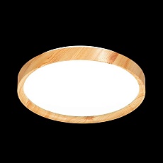 Настенно-потолочный светильник Sonex Tan Woodi 3019/EL 4