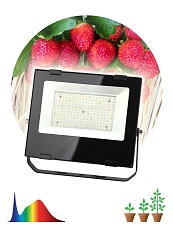 Прожектор светодиодный для растений ЭРА 100W 4000K Fito-100W-Ra90-Led Б0047876 1
