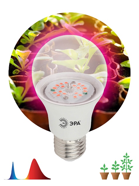 Лампа светодиодная для растений ЭРА E27 10W 1310K прозрачная FITO-10W-RB-E27-K Б0039069 фото 4
