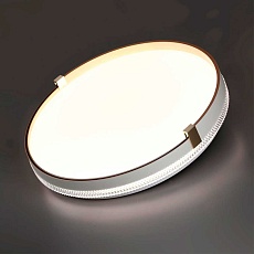 Настенно-потолочный светодиодный светильник Sonex Pale Olidi White 7646/CL 1