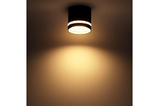 Накладной потолочный светильник Ritter Arton 59943 2 1