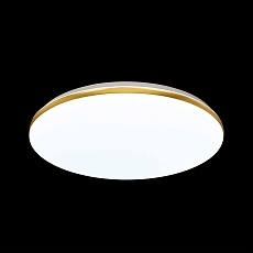 Настенно-потолочный светодиодный светильник Sonex Tan Lassa 3043/AL 2