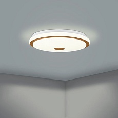 Настенно-потолочный светодиодный светильник Eglo Lanciano 1 900599 2