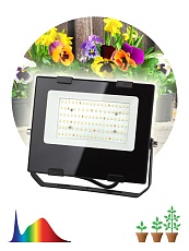 Прожектор светодиодный для растений ЭРА Fito-50W-Ra90-Led Б0047875 2