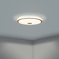 Настенно-потолочный светодиодный светильник Eglo Lanciano 1 900598 2