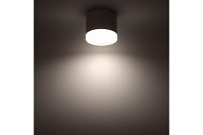 Накладной потолочный светильник Ritter Arton 59946 3 1