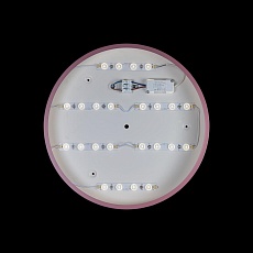 Потолочный светодиодный светильник Loft IT Axel 10003/24 pink 3