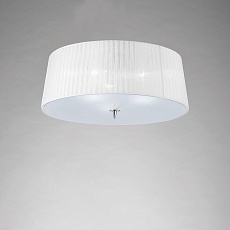 Потолочный светильник Mantra Loewe 4640 1