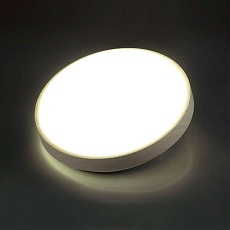 Настенно-потолочный светодиодный светильник Sonex Losta 7628/AL 3