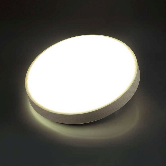 Настенно-потолочный светодиодный светильник Sonex Losta 7628/DL фото 3