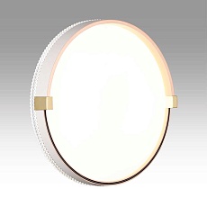 Настенно-потолочный светодиодный светильник Sonex Pale Olidi White 7646/CL 2