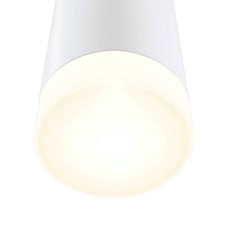 Настенный светильник Maytoni Dafne C027WL-L10W 5