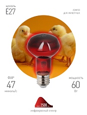 Лампа инфракрасная ЭРА E27 60 Вт для обогрева животных и освещения ИКЗК 230-60 Вт R63 Е27 Б0057281 3