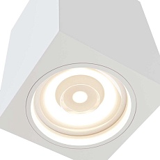 Потолочный светильник Maytoni Alfa C011CL-01W 1