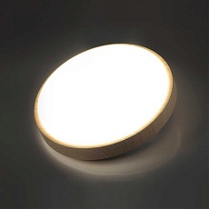 Настенно-потолочный светодиодный светильник Sonex Losta 7607/AL 3