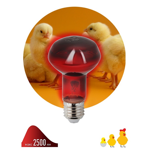 Лампа инфракрасная ЭРА E27 60 Вт для обогрева животных и освещения ИКЗК 230-60 Вт R63 Е27 Б0057281 фото 