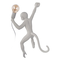Настенный светильник Loft IT Monkey 10314W/B 5
