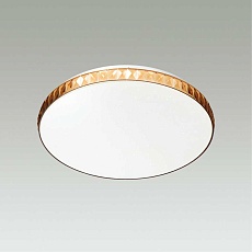 Настенно-потолочный светодиодный светильник Sonex Pale Dina amber 2078/EL 1