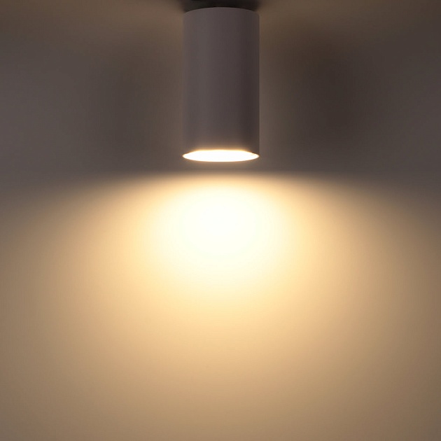 Накладной потолочный светильник Ritter Arton 59950 0 фото 2